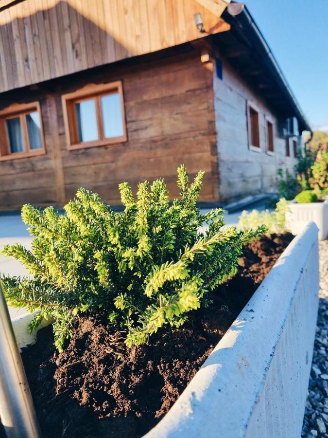 Ruralna Kuca Za Odmor Kablarovo Brdo Pensionat Krnjak Eksteriør billede